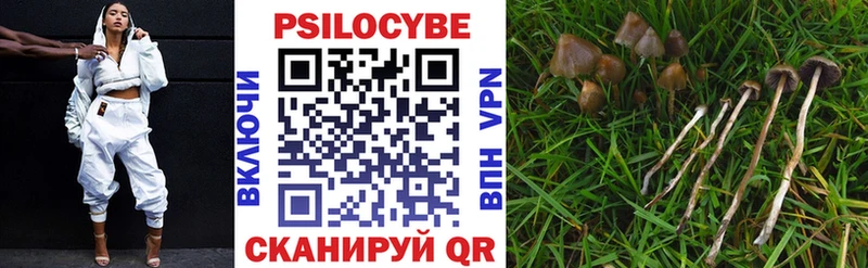 Галлюциногенные грибы Psilocybine cubensis  hydra ТОР  Лангепас 